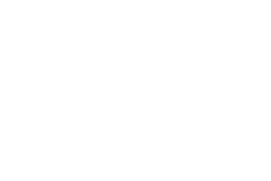 Purchases Benefit ALS Association North Carolina Chapter